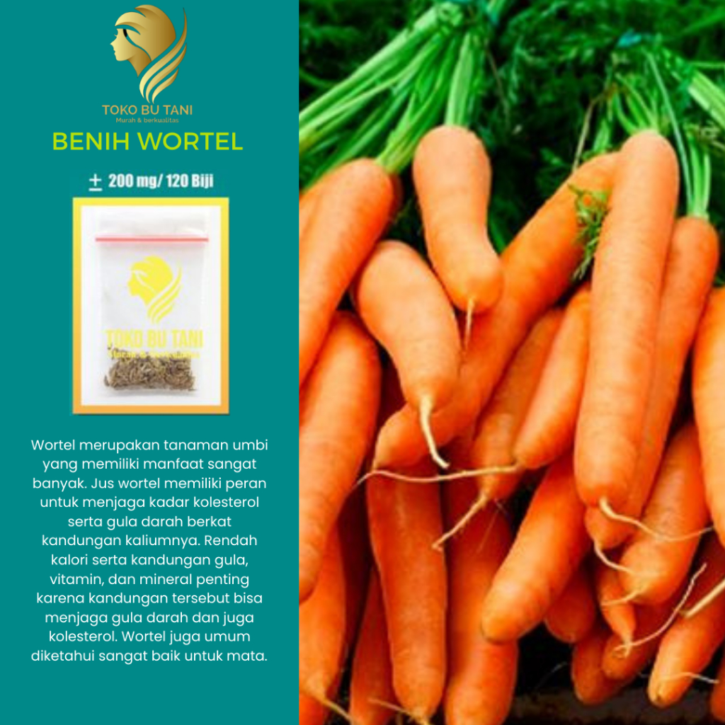 BTN Benih Wortel Sayur Wortel - Bibit Tanaman Sayur Sayuran