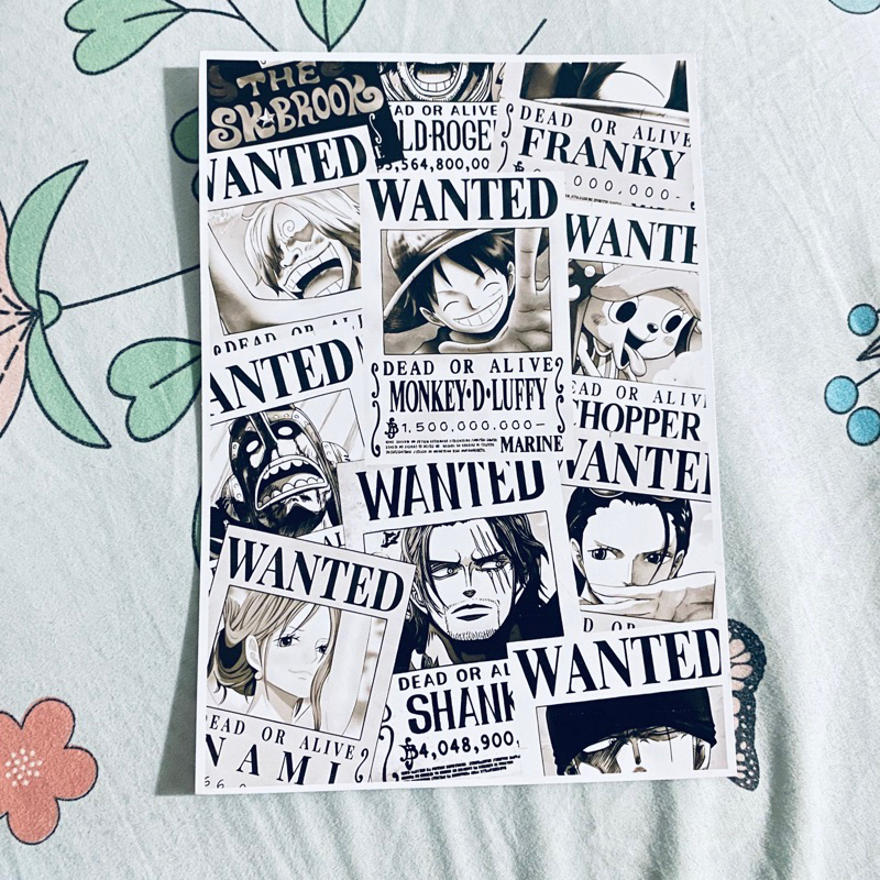 Jual Poster Mini One Piece Wanted | Shopee Indonesia