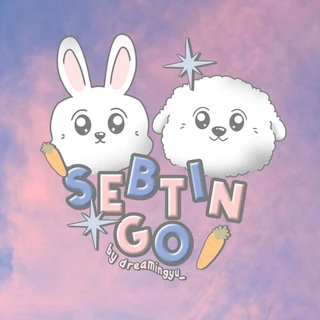 SEVENTEEN holiday エスクプス トレカ チェキ 缶バッジ セット