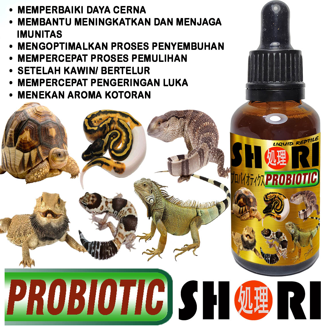 Jual SHORI PROBIOTIK VITAMIN REPTIL OBAT PENCERNAAN GECKO SULCATA