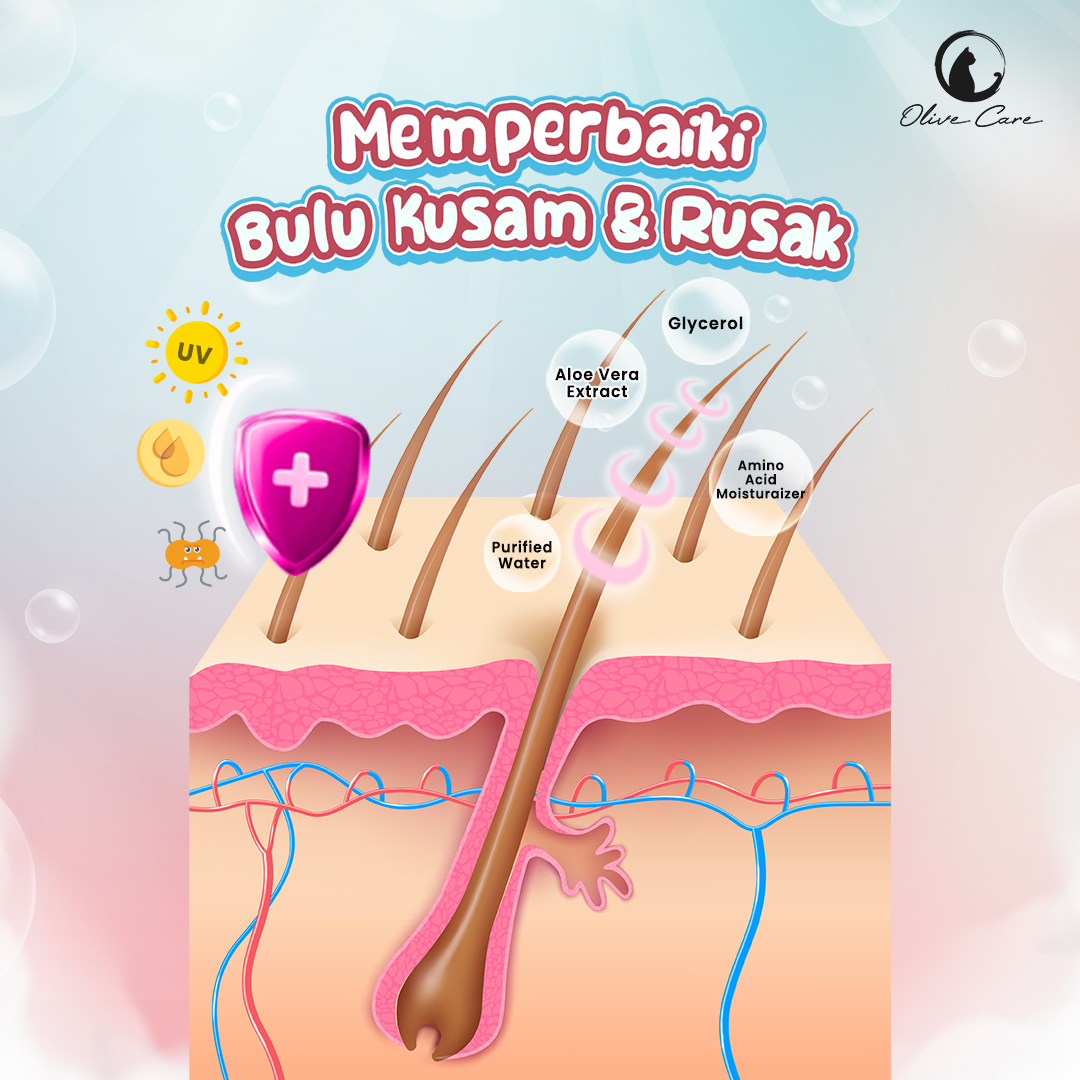 Gambar Produk 4