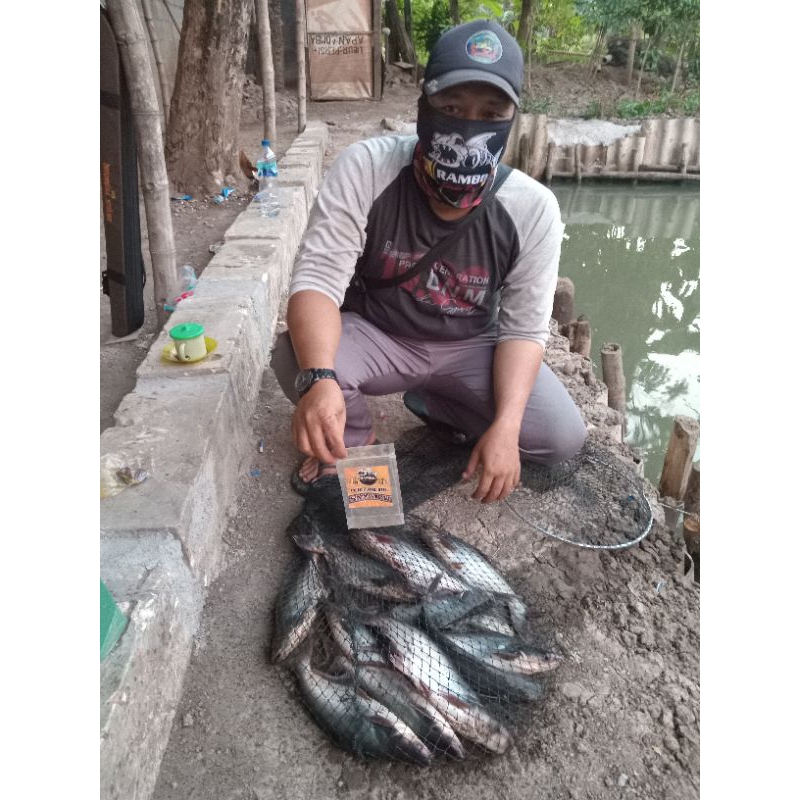 Jual pelet racing sangrai rambo target ikan patin, mas,tombro, bawal ...