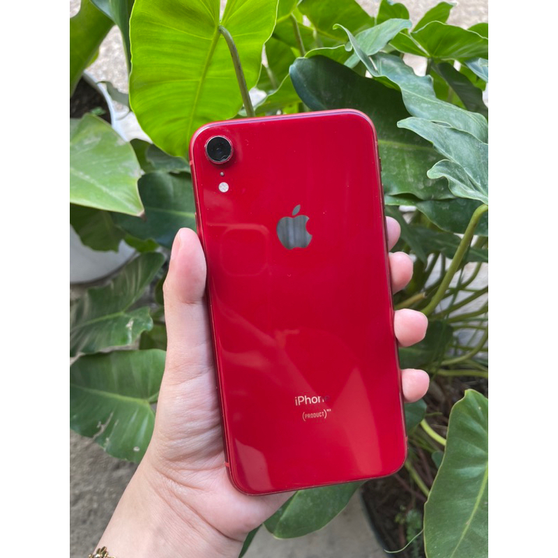 Jual iPhone XR (IBOX 100%) | Shopee Indonesia