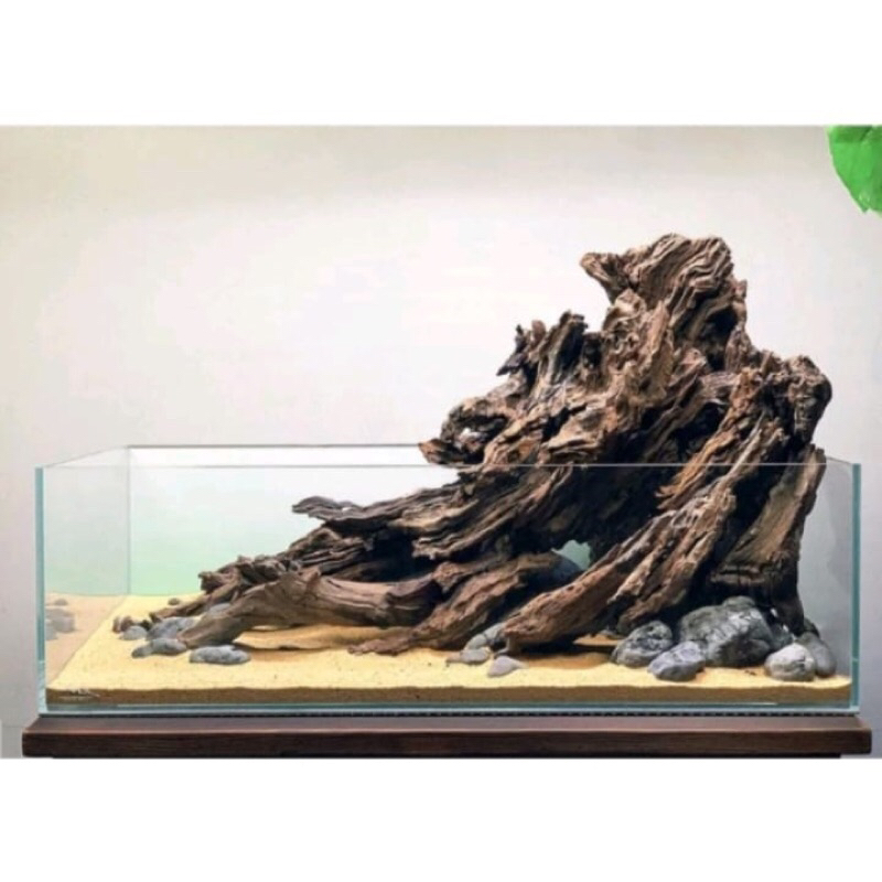 Jual Kayu Rentek Pranak Aquascape / Drift Wood Aquascape | Shopee Indonesia