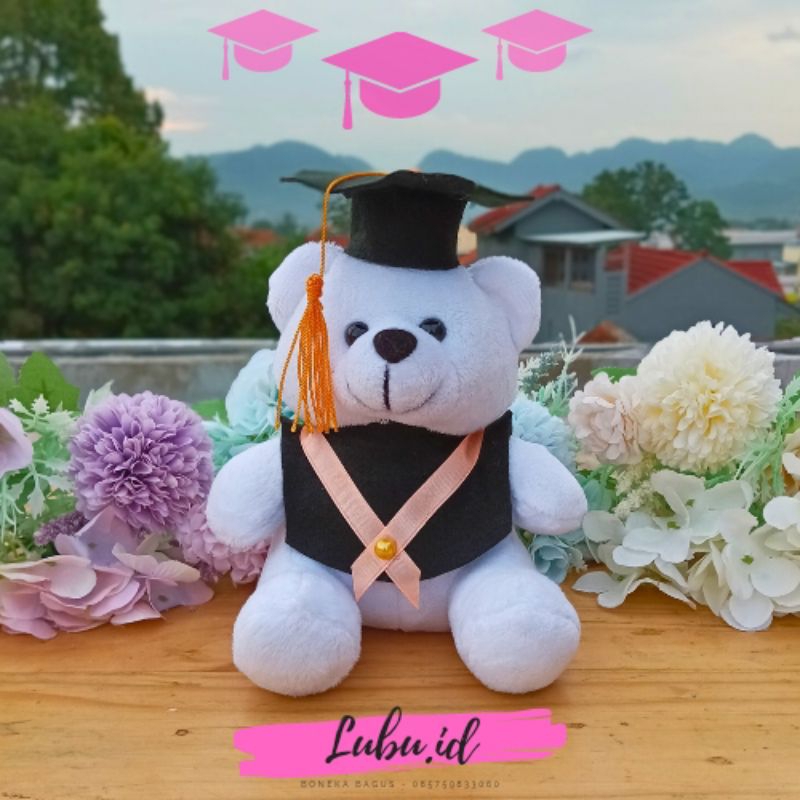 Jual Boneka Wisuda Teddy Bear Premium 20cm High Quality Shopee Indonesia