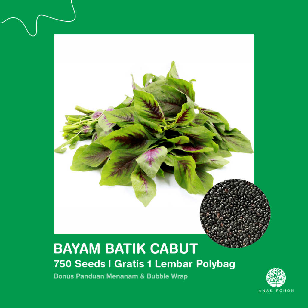 Jual SERBA SERIBU - Benih Bibit Biji - Paket Benih Sayuran DAUN ...