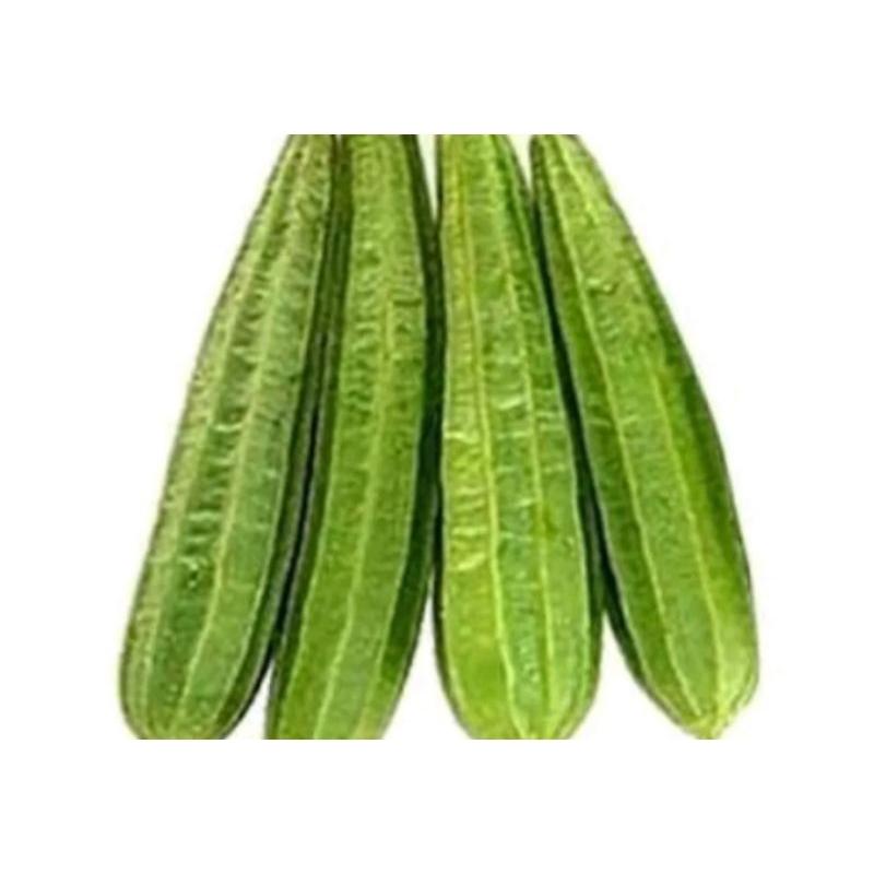 Jual Labu Siam Besar/Labu Baby/Oyong/Pare/Jagung Baby(Putren) | Shopee ...