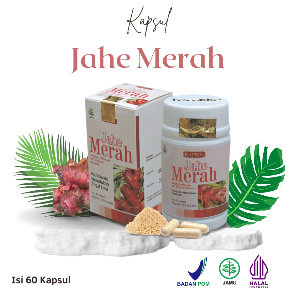 Jual Kapsul Herbal Jahe Merah Obat Gangguan Pencernaan Dan Daya Tahan