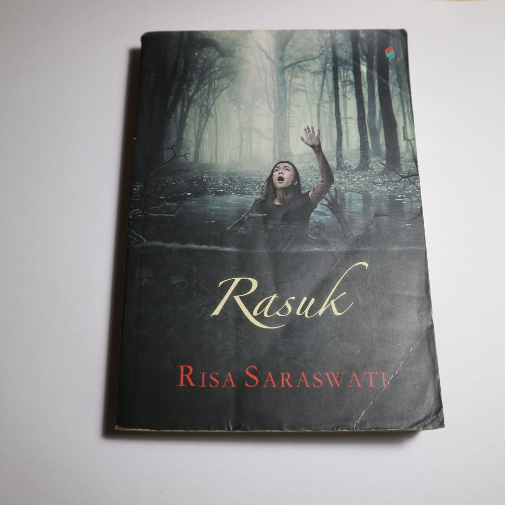 Jual [PRELOVED] RASUK OLEH RISA SARASWATI ORIGINAL | Shopee Indonesia
