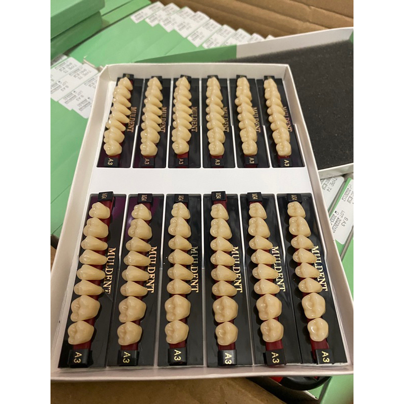 Jual GIGI MULDENT GERAHAM ATS 1BOX isi 12 papan | Shopee Indonesia