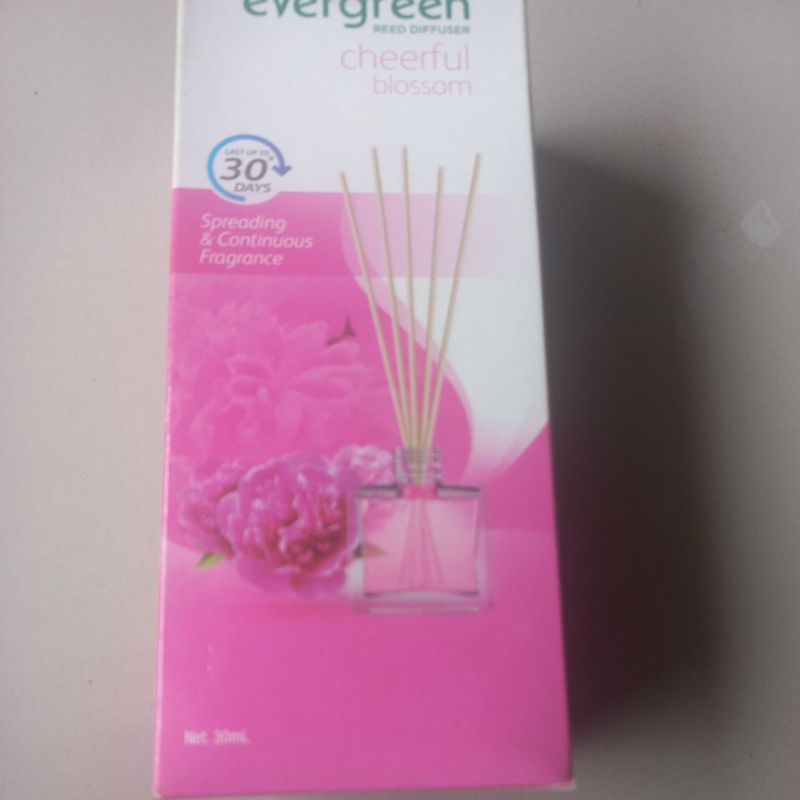 Jual evergreen reed diffuser 30ml | Shopee Indonesia