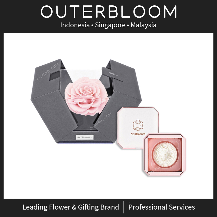 Jual Outerbloom x Nestbloom The Novo Astoria NestBloom Gift Box ...