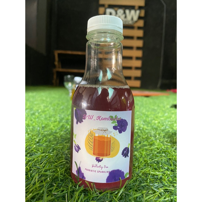 Jual Butterfly Pea Flower Kombucha Shopee Indonesia