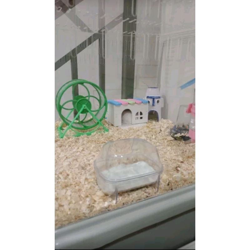 Jual kandang humster akrilik / tempat pemeliharaan akrilik | Shopee ...