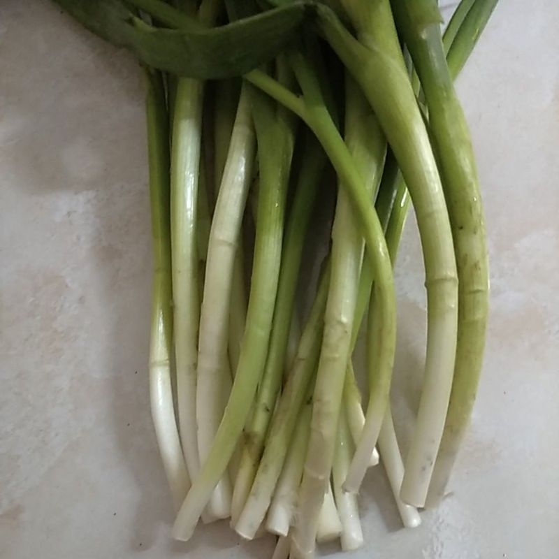 Jual DAUN PREI PREE BAWANG SEGAR 500gram | Shopee Indonesia