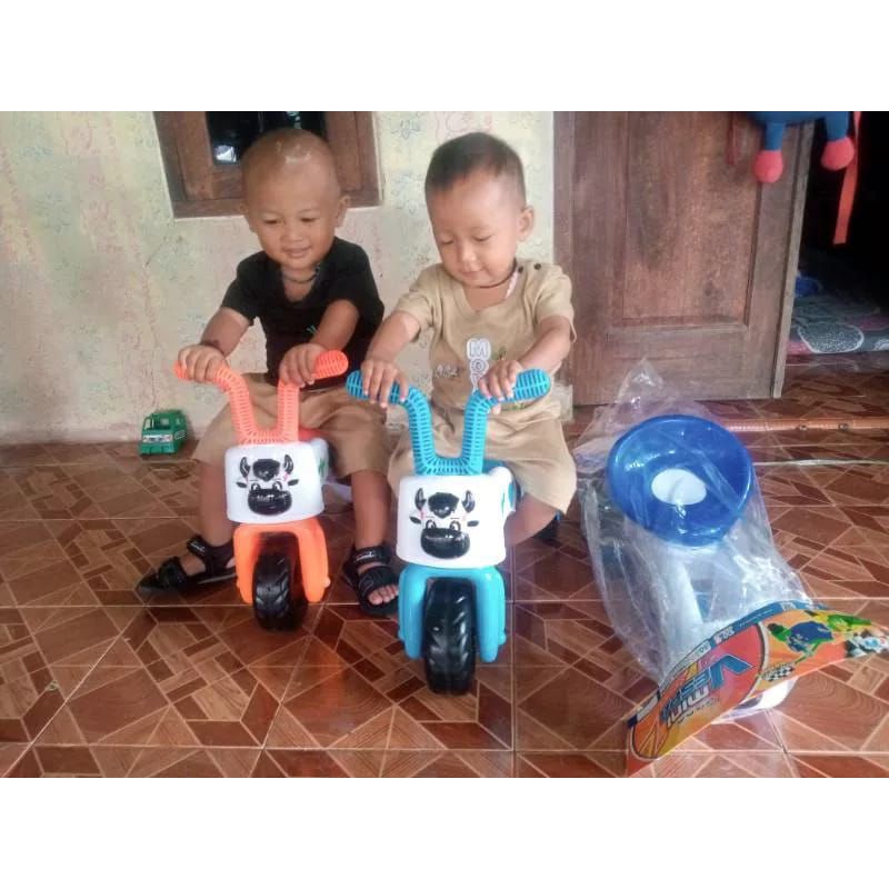 Jual Sepeda Anak Roda Tiga 3 Balance Bike Push Bike Sepeda Sapi fd305 ...