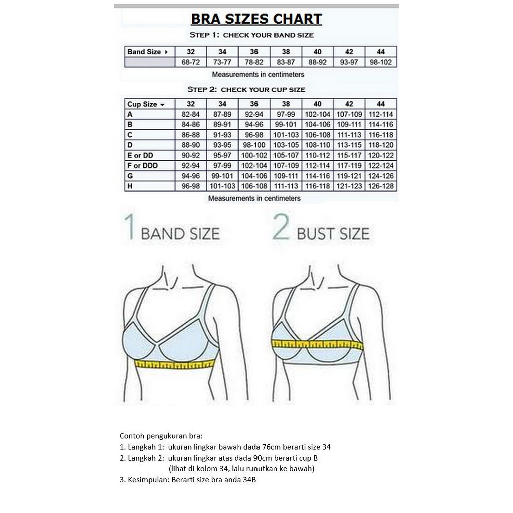 Jual PANDUAN SIZE EXPORT / SIZE CHART UNTUK BRA EXPORT | Shopee Indonesia