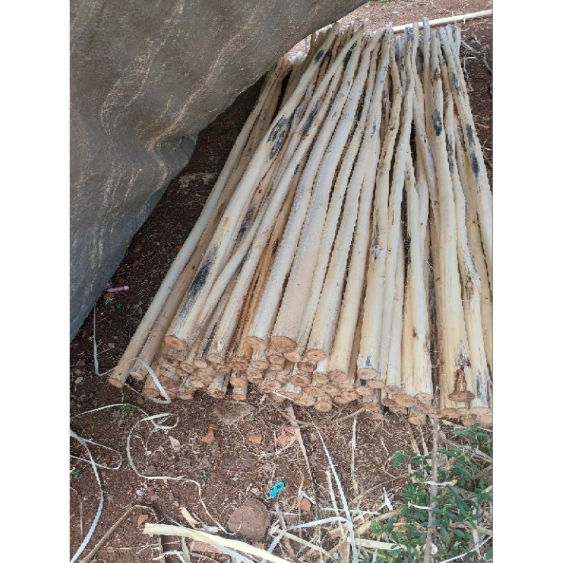 Jual Dolken Dowel Manium Akasia dm 2-5cm Panjang 3m Dekorasi Kerajinan ...
