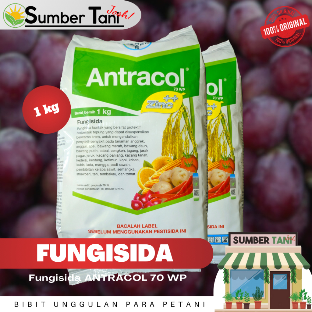 Jual Fungisida Antracol Wp Zinc Kemasan Kg Shopee Indonesia