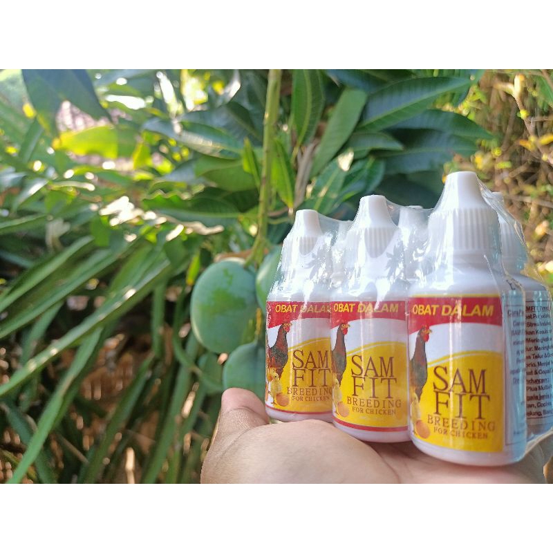 Jual SAMFIT Breeding Ayam Obat Ayam Petelur Suplemen ayam petelur ...
