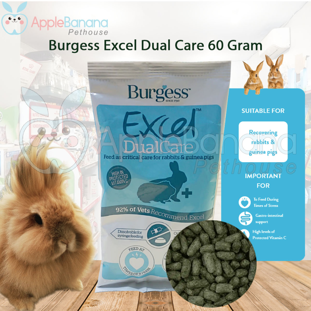 Fieno Burgess In Sacco Da 1000 G – 100% Naturale, Ricco Di Fibre (63%) E Fibra Grezza (33%), Per La Salute Digestiva E Dentale Dei Roditori