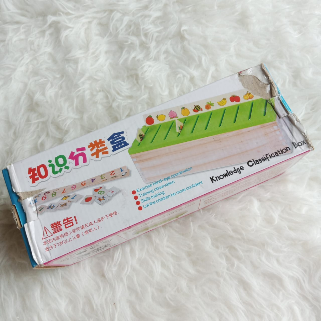 Jual Mainan edukasi knowledge classification box kotak klasifikasi ...
