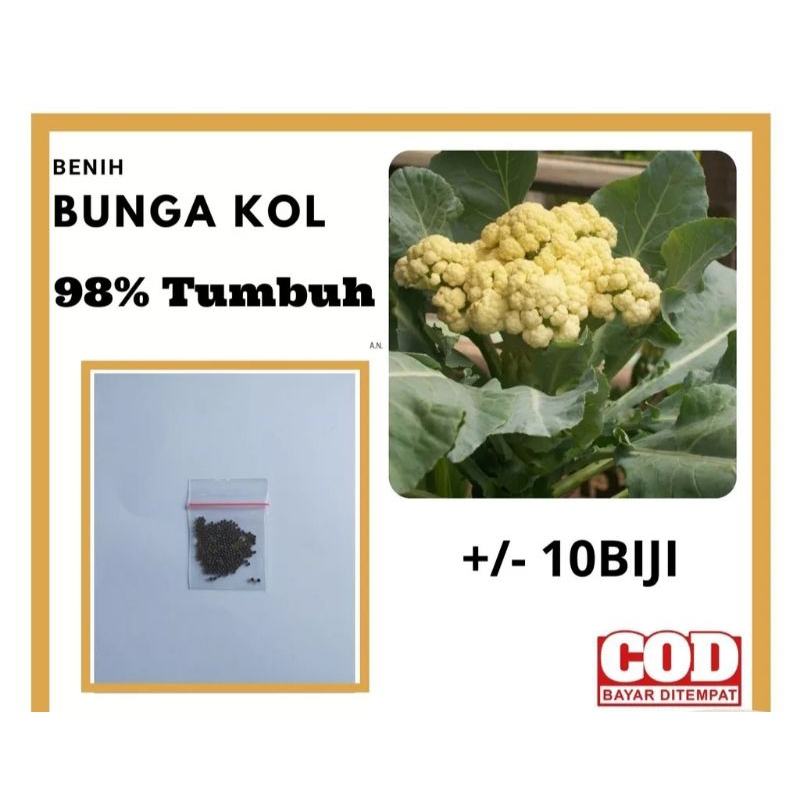 Jual Benih Bunga Kol F1 Hibrida Unggulan Kemasan Repack 10 Bj | Shopee ...