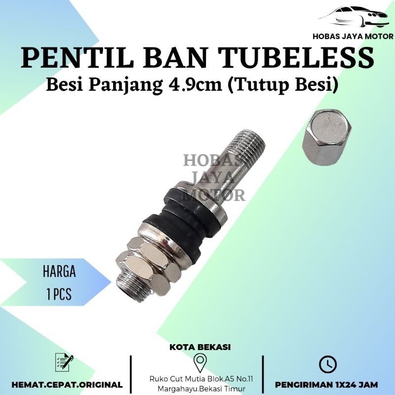 Jual Pentil Tubeless Besi Panjang 4 9 Cm Tutup Besi Shopee Indonesia