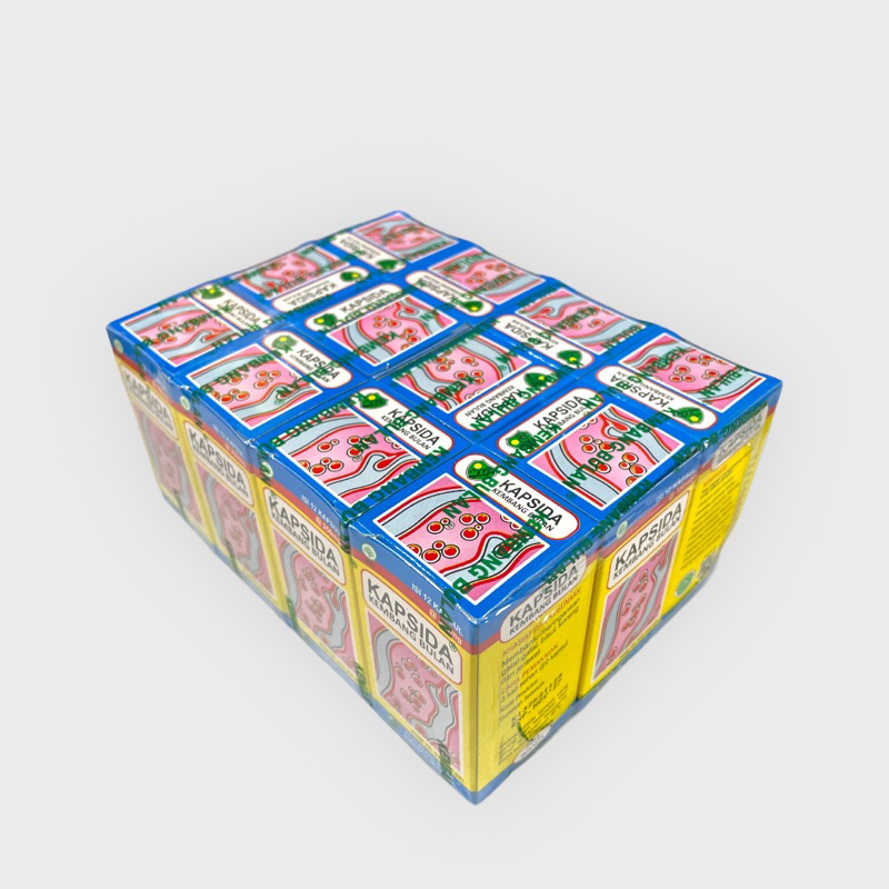 Jual Kapsida 1 Pak Isi 12 Botol | Shopee Indonesia