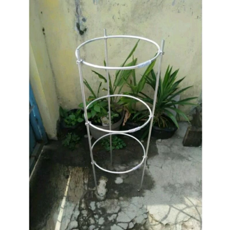 Jual tiang/rangka rambatan anggur tinggi 1 meter | Shopee Indonesia