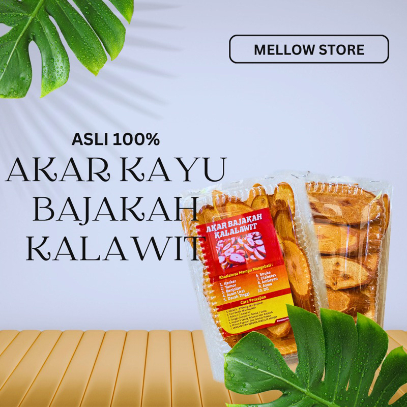 Jual Akar Kayu Bajakah Kalalawit Asli Khas Kalimantan Obat Tradisional Ukuran Besar Shopee 2020