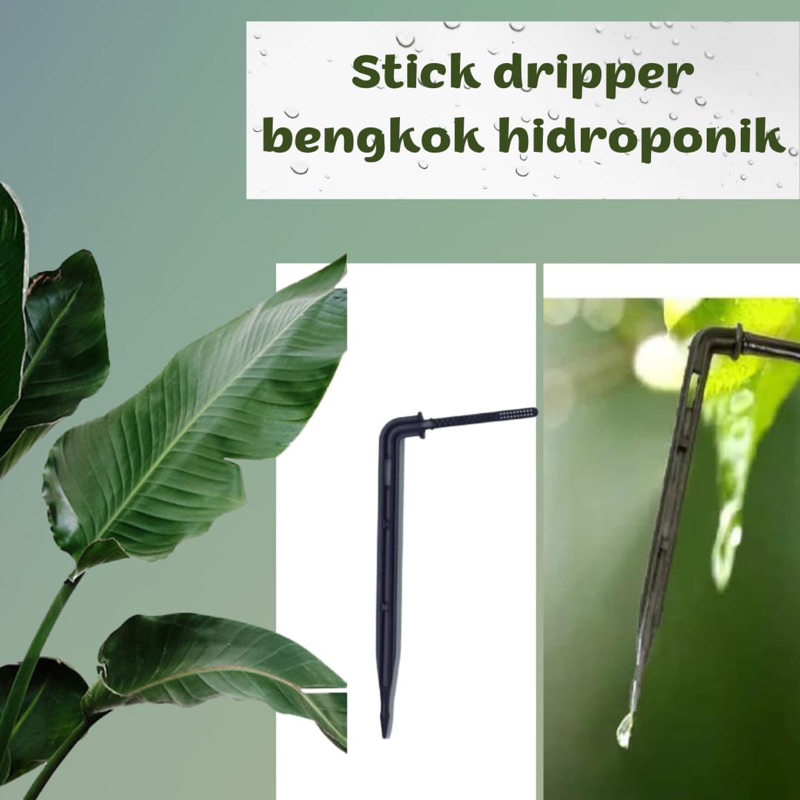 Jual STIK DRIP / WATER DRIPPER BENGKOK HIDROPONIK / SPRINKLER TETES ...