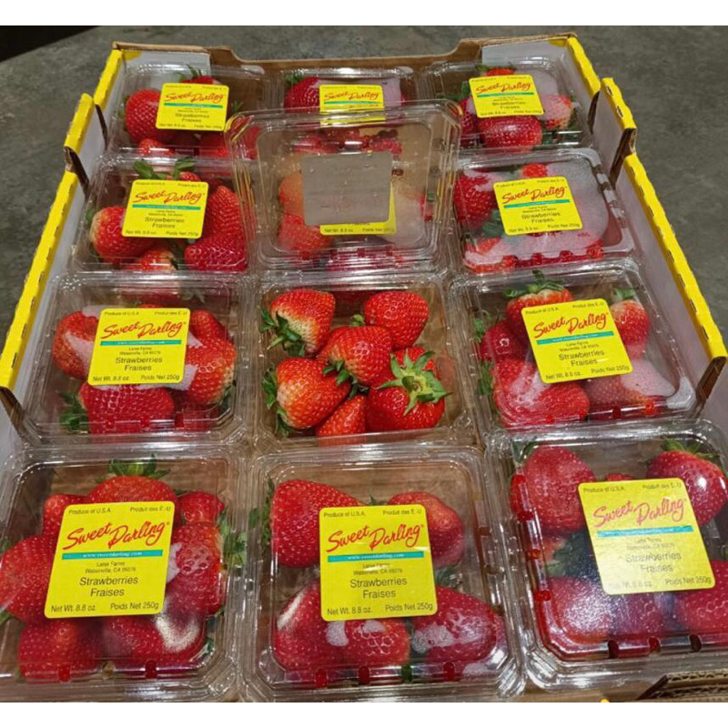 Jual Strawberry Sweet Darling USA / Pack (250 Gr x 12 pack) Shopee