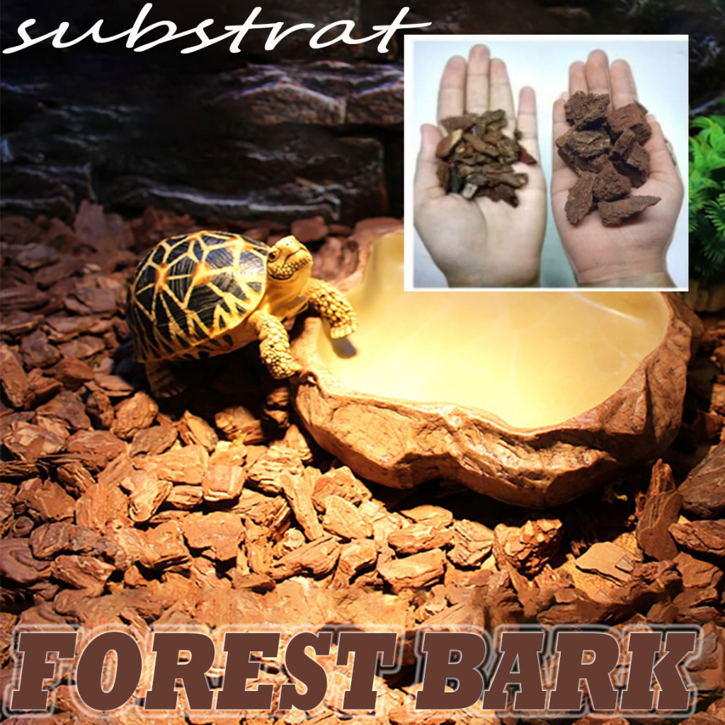 Jual Forest bark forestbark alas kandang reptile reptil kadal tegu ...