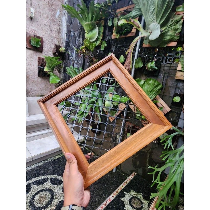 Jual papan plati/papan simbar/platycerium/frame+drinase kayu jati ...