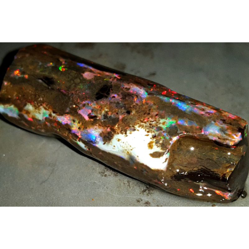 Jual KALIMAYA BLACK OPAL SEMPUR BIANG JUMBO dim 47x18x13 | Shopee Indonesia