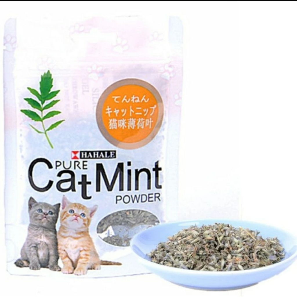 Jual CAT MINT POWDER 5gram - Catnip Untuk Kucing / CAT MINT POWDER PURE ...
