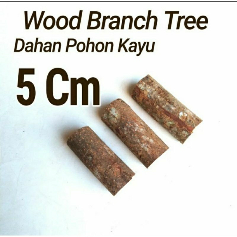 Jual Wood Branch Tree 1-2 cm x 5 Cm Dahan kayu potongan kayu bahan ...