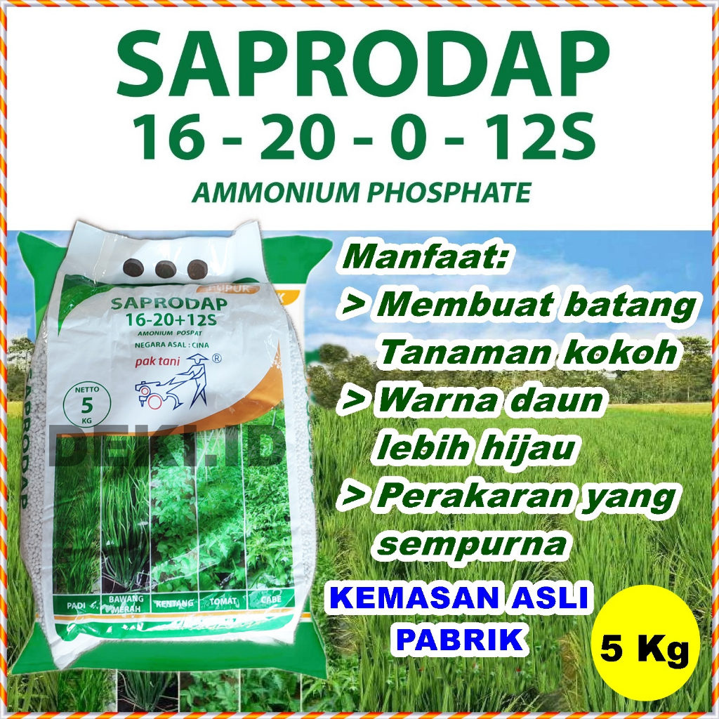 Jual Saprodap 5 Kg Kemasan Pabrik Pupuk Ammonium Pospat Pak Tani 16 20 ...