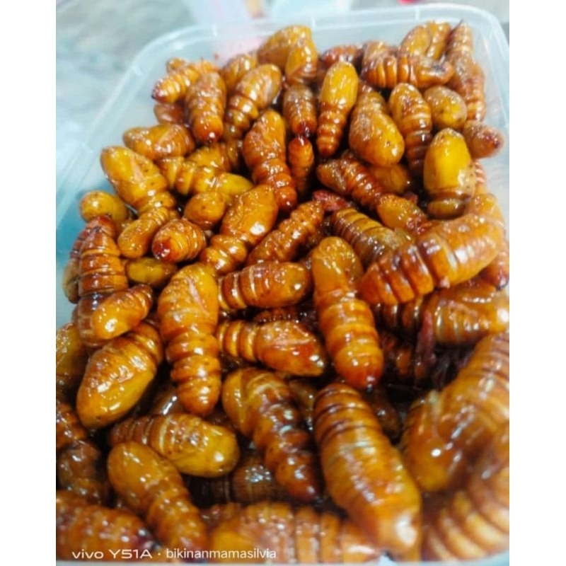 Jual Stock Terbatas !!! Entung Ungkrung Kepompong Mete Goreng gurih ...