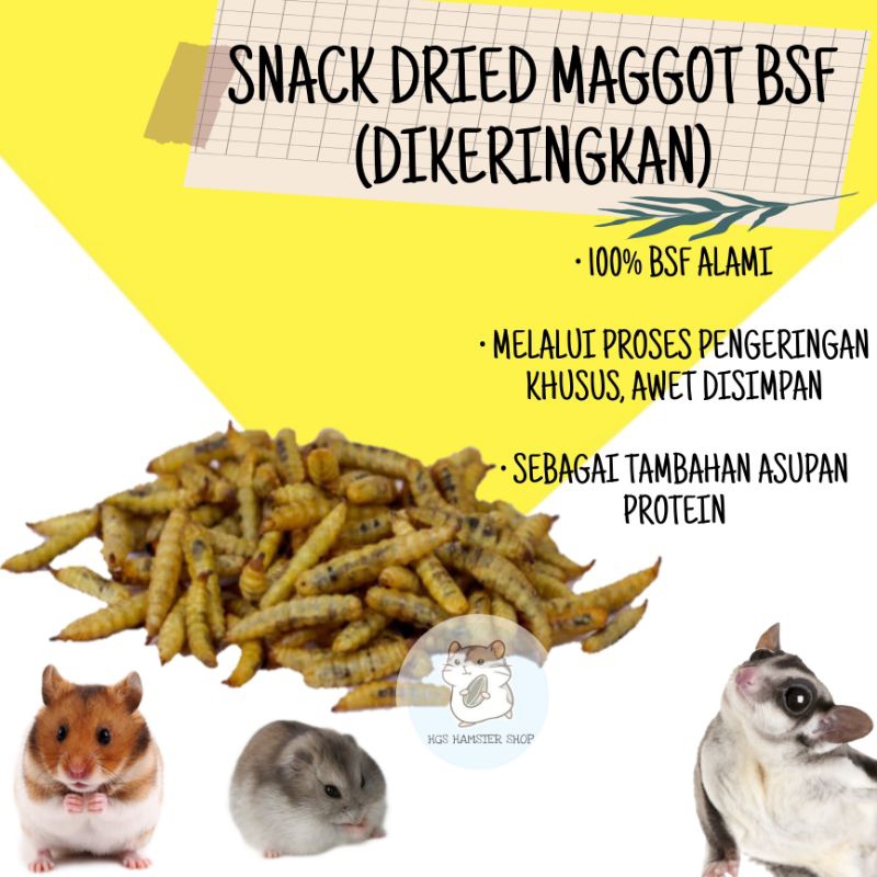 Jual Maggot Terlengkap & Harga Terbaru Agustus 2026 | Shopee Indonesia