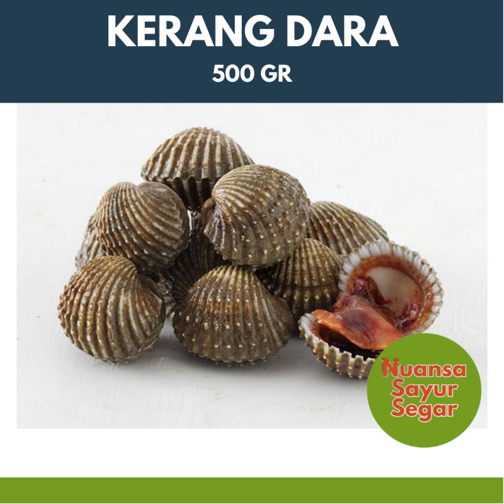 Jual Kerang Dara 500 Gram Nuansa Sayur Segar Shopee Indonesia