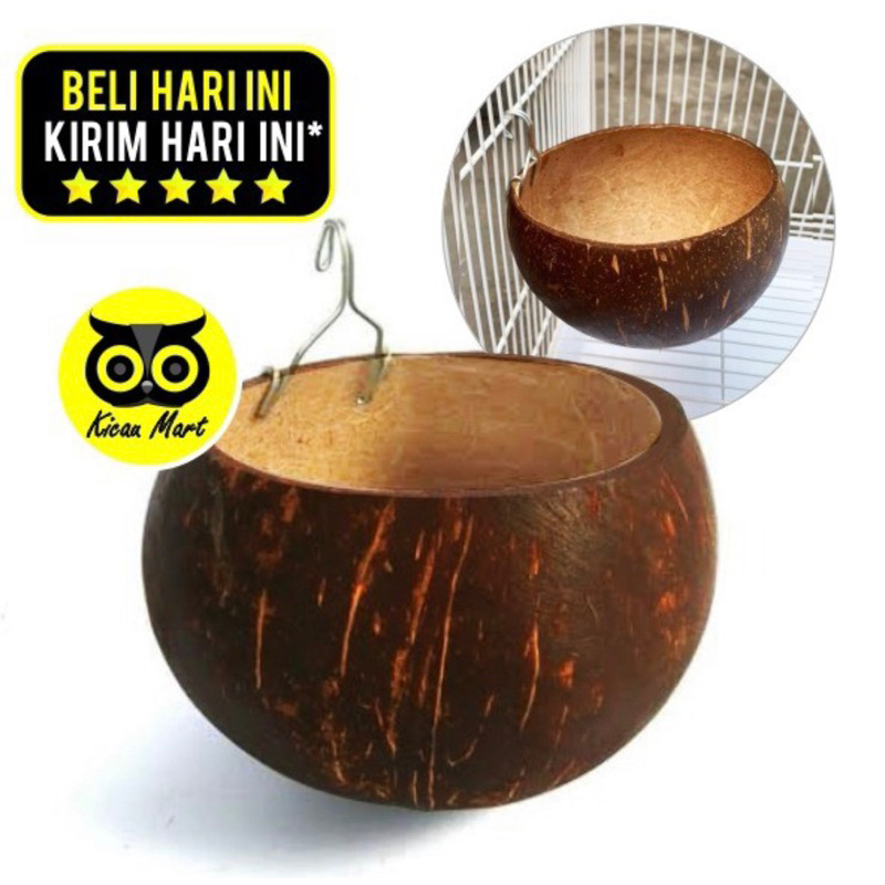 Jual Batok Kelapa Terlengkap & Harga Terbaru Agustus 2026 | Shopee ...
