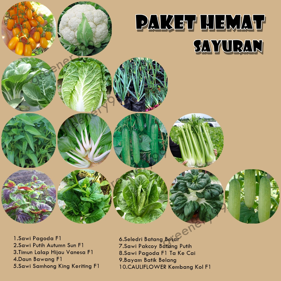 Jual Benih Sayuran Paket Hemat Murah 10 Jenis Bibit Sayur Sawi Bayam