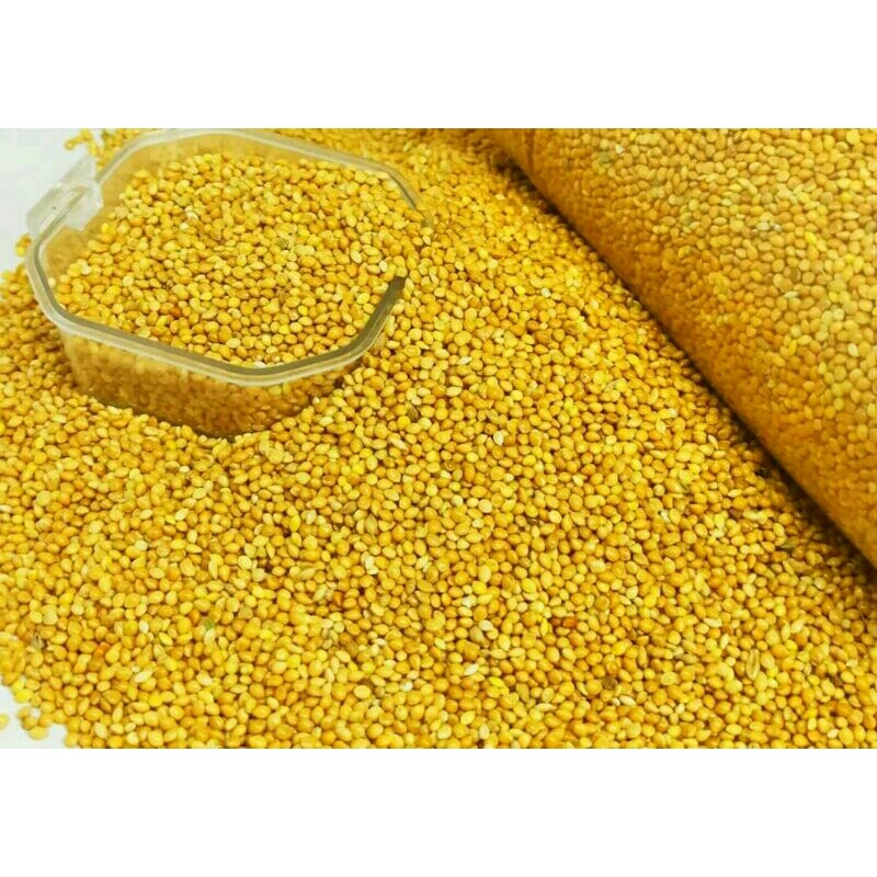 Jual Millet kuning 500gr | Shopee Indonesia