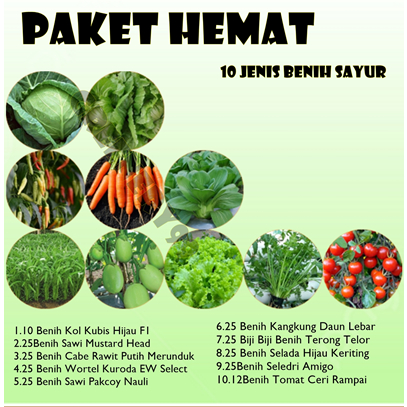 benih sayur biji sayuran tanaman bibit paket hemat murah termurah promo terong wortel cabe tomat sawi bayam kangkung kacang seledri sledri brokoli kobis timun selada slada gratis ongkir bisa cod bayar ditempat