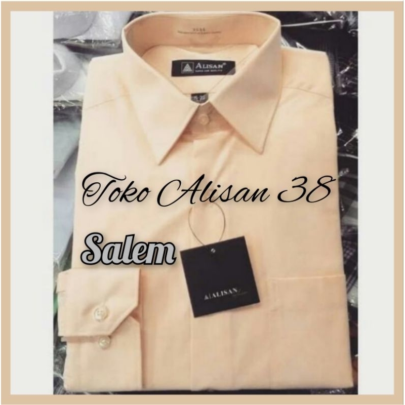 Jual Kemeja Alisan Polos Regular Lengan Panjang Warna Salem | Shopee ...