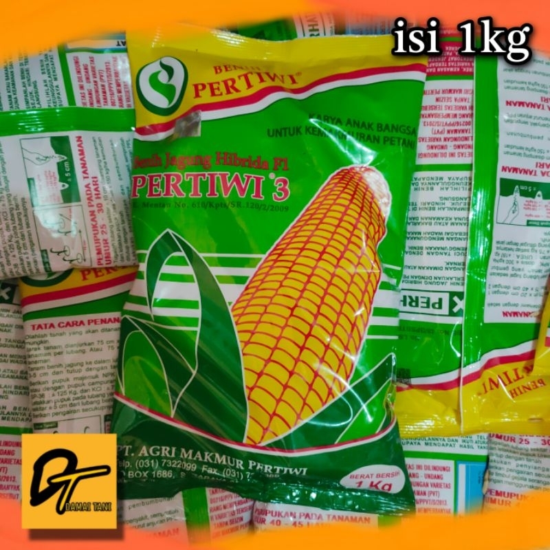 Jual Bibit Jagung. Benih Jagung Hibrida F1 Pertiwi 3 (1 Kg) | Shopee ...