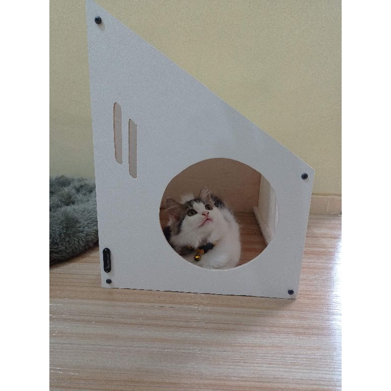 Jual Rumah Kucing, Tenda Kucing, Cat House Indoor | Shopee Indonesia