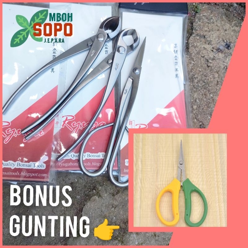 Alat Bonsai Ryuga